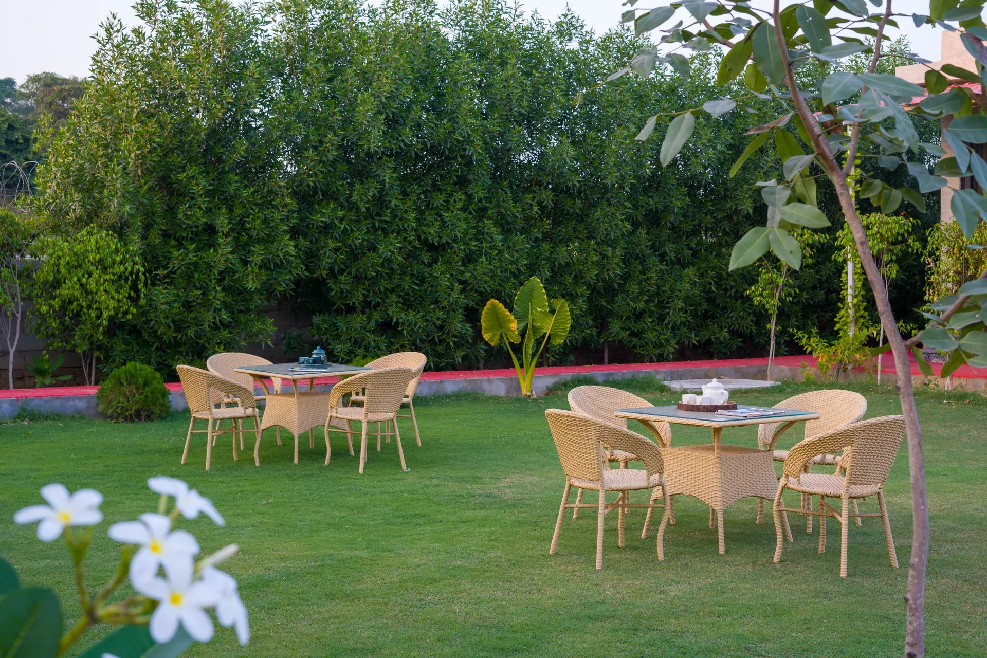 Zenora | Pet-friendly 5-BHK Farmhouse With Pvt Pool, Garden & Terrace - Image 4