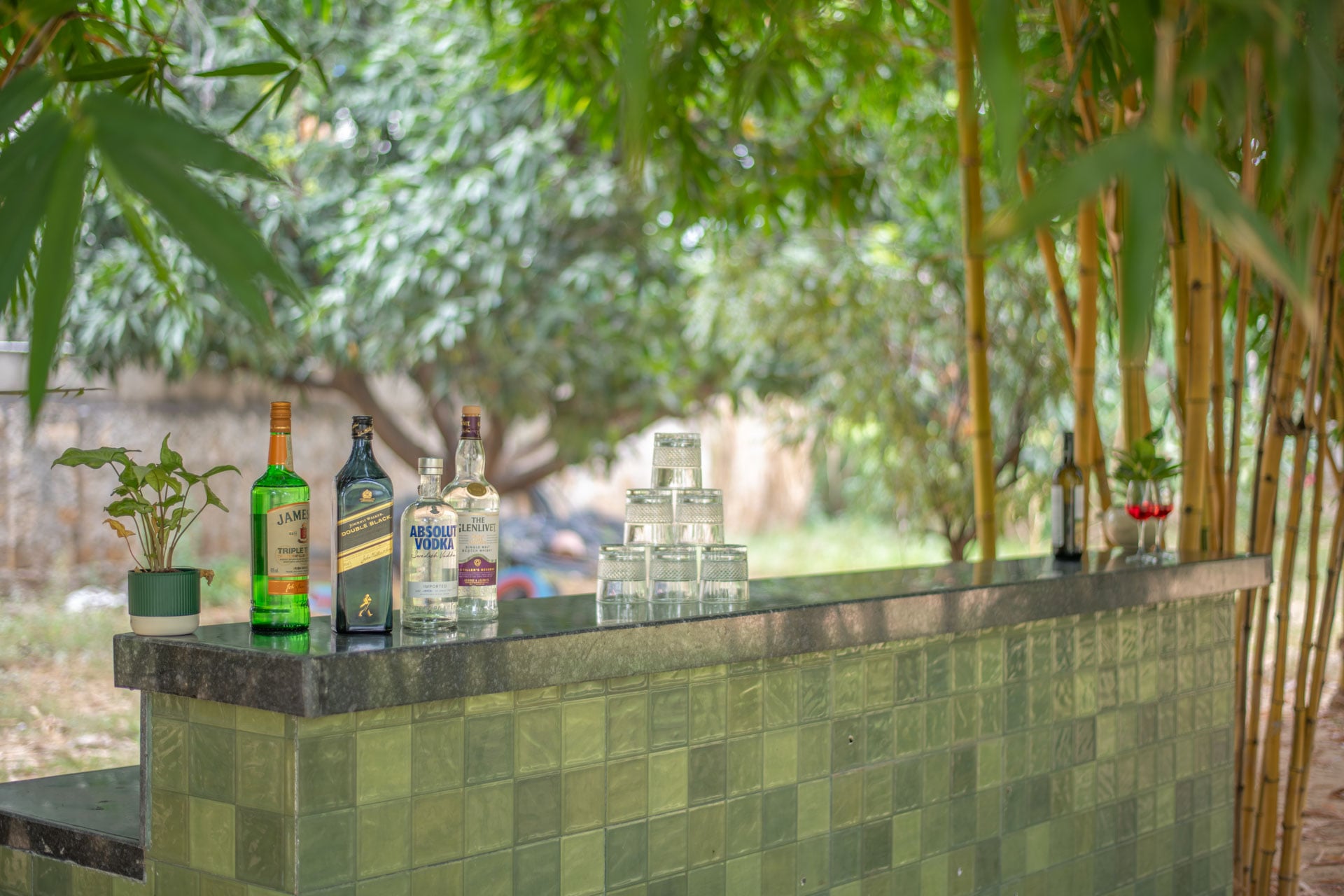 Bamboo Bagh - Image 5