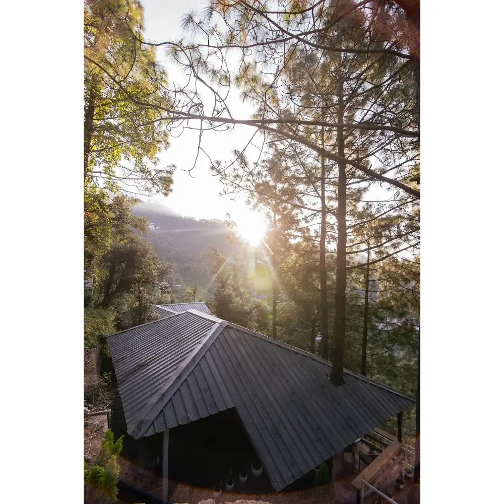 Srivasa - Misty Pine Cottage, Mussoorie