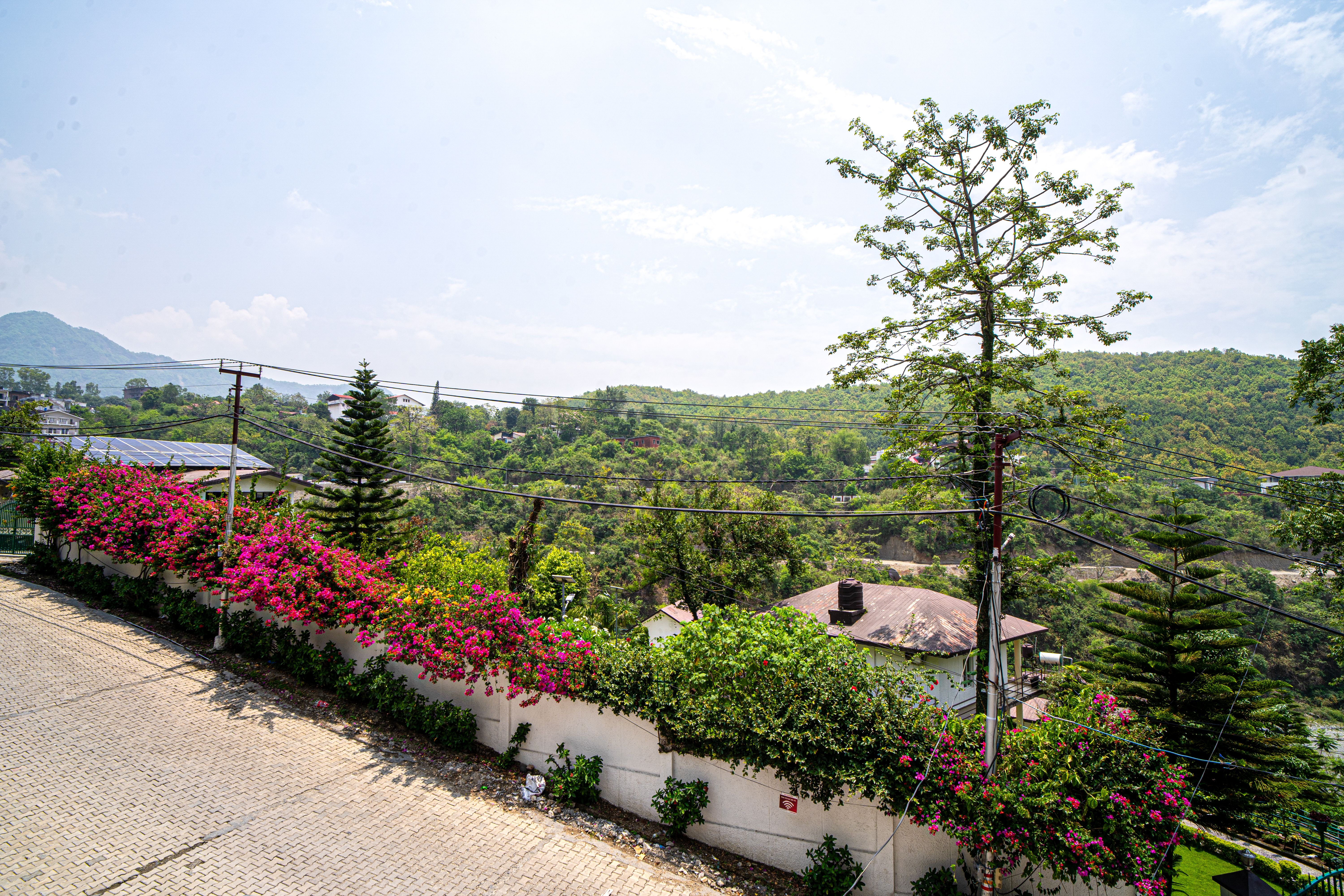 Udgam Vilas 3-BHK | Pet-friendly Hillside Apartment With Lift Near Robber’s Cave - Image 4