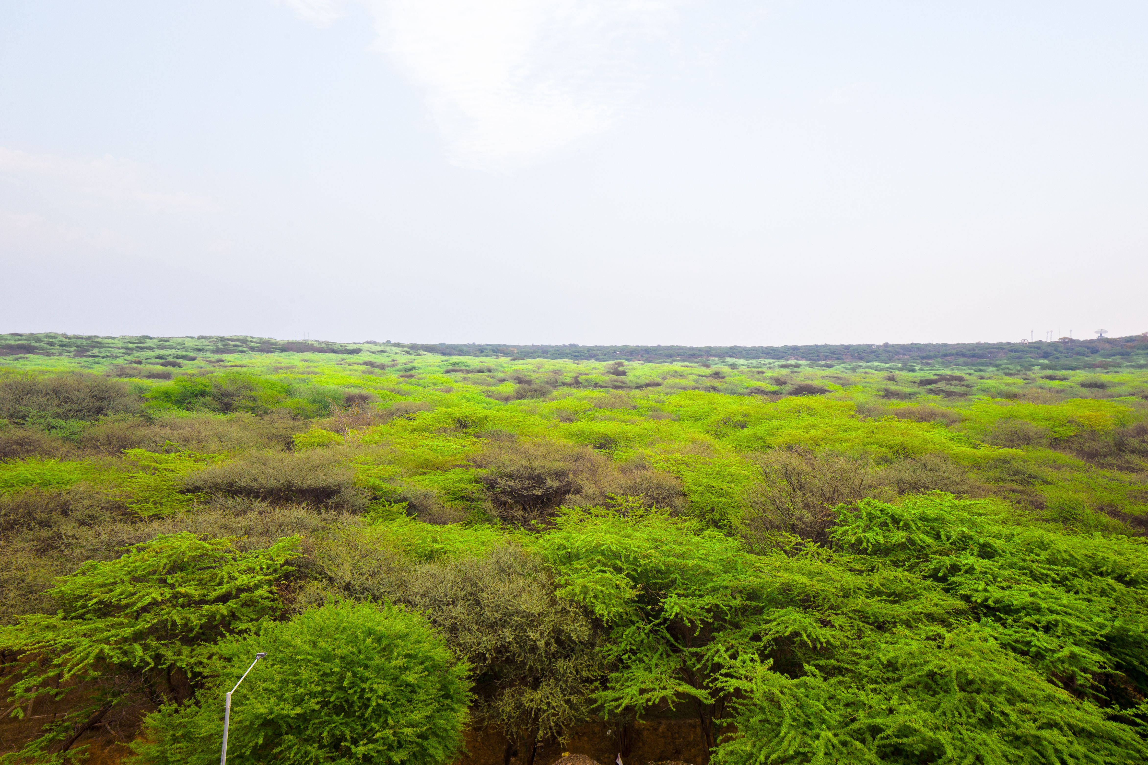 Eternal Oasis Aravali View Suite | Serene 1-Room Retreat With Restaurant, Balcony & Banquet Hall - Image 4