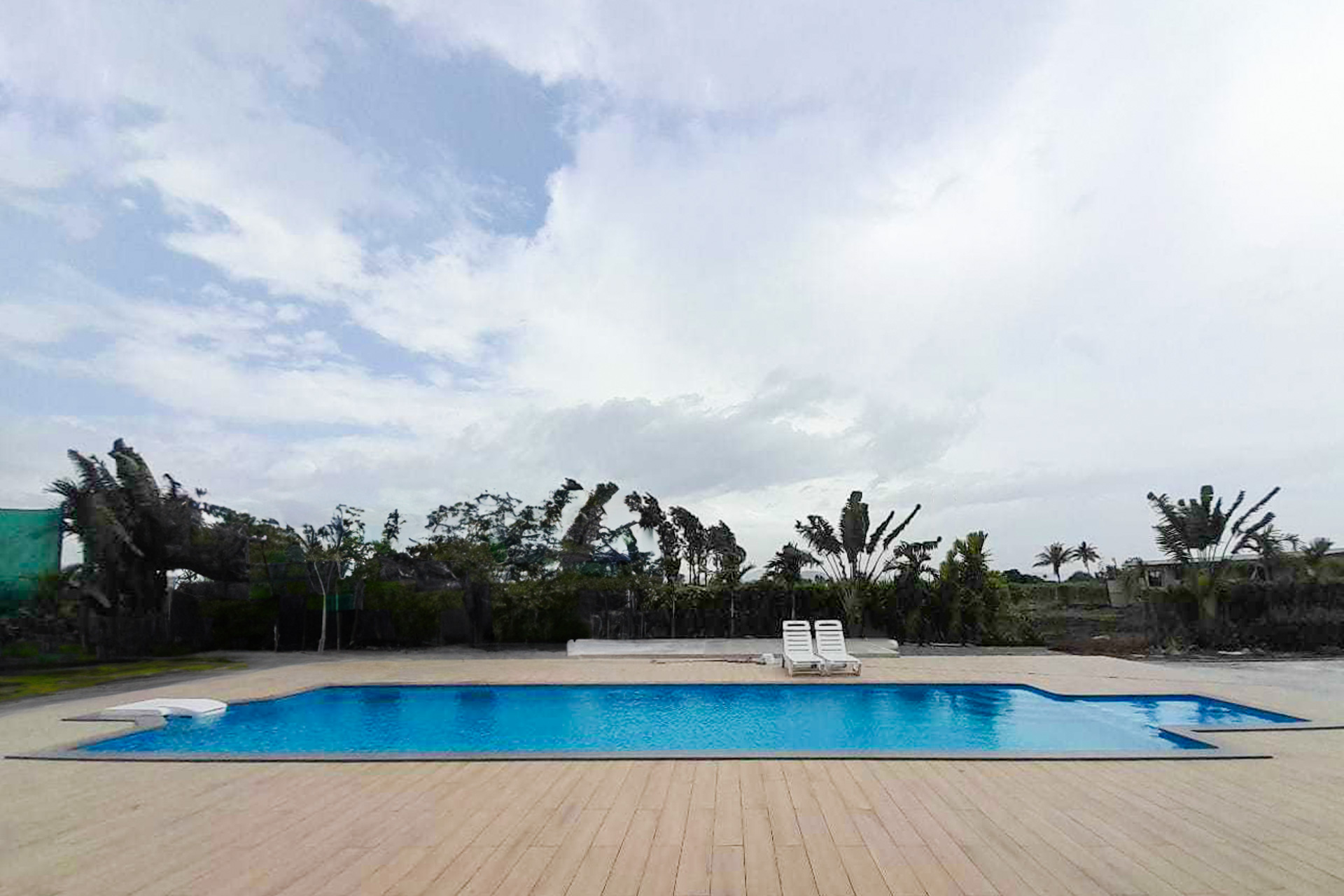 Silver Grove - Image 4