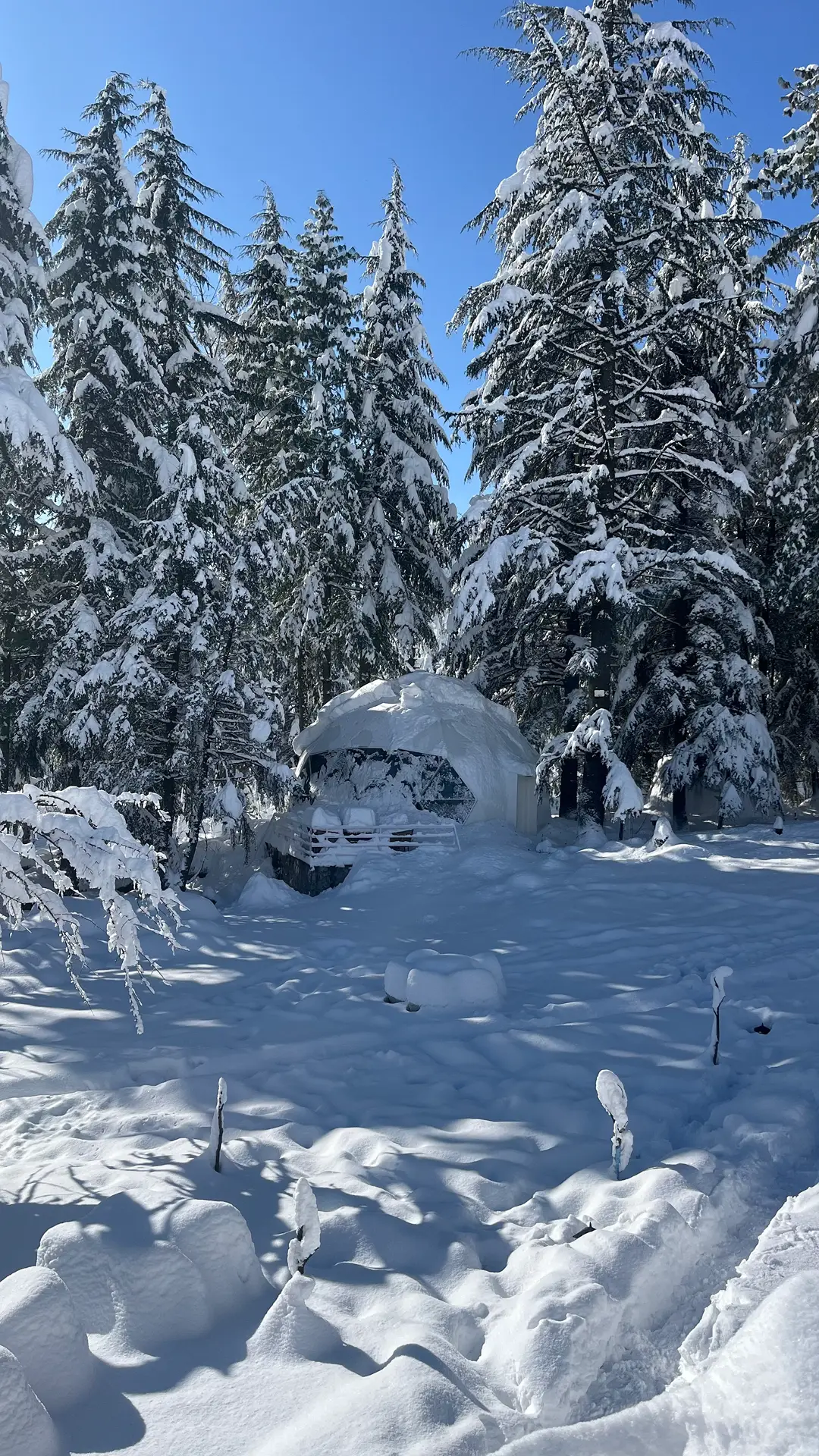 GlampView Luxurious Geodesic Glamp 2