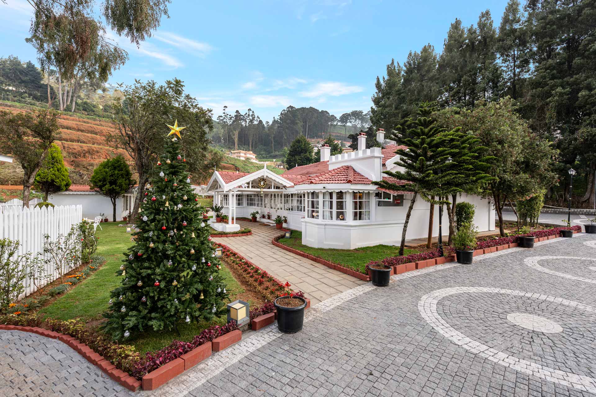 Mist @ Tiverton Bungalow