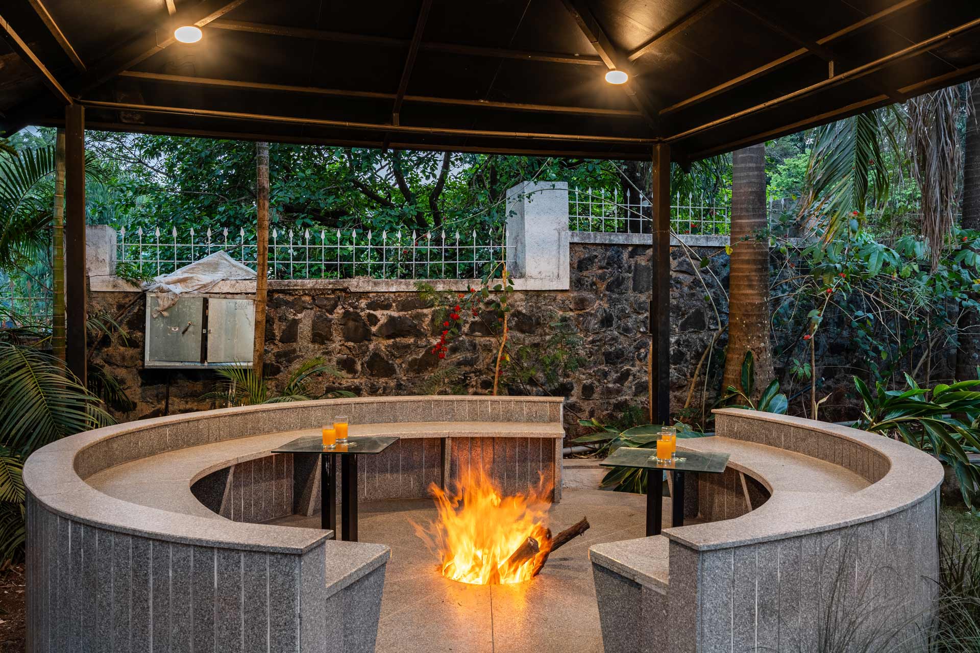 The White Canopy - Image 3