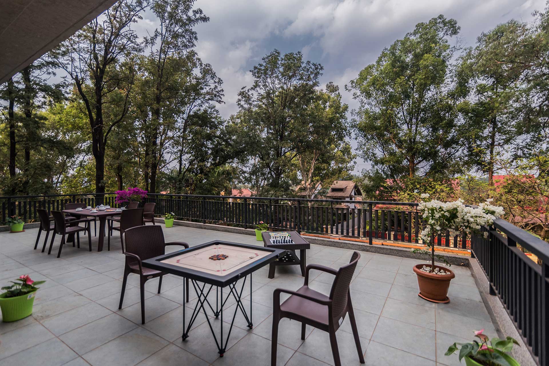 Peace Paradise - Image 4