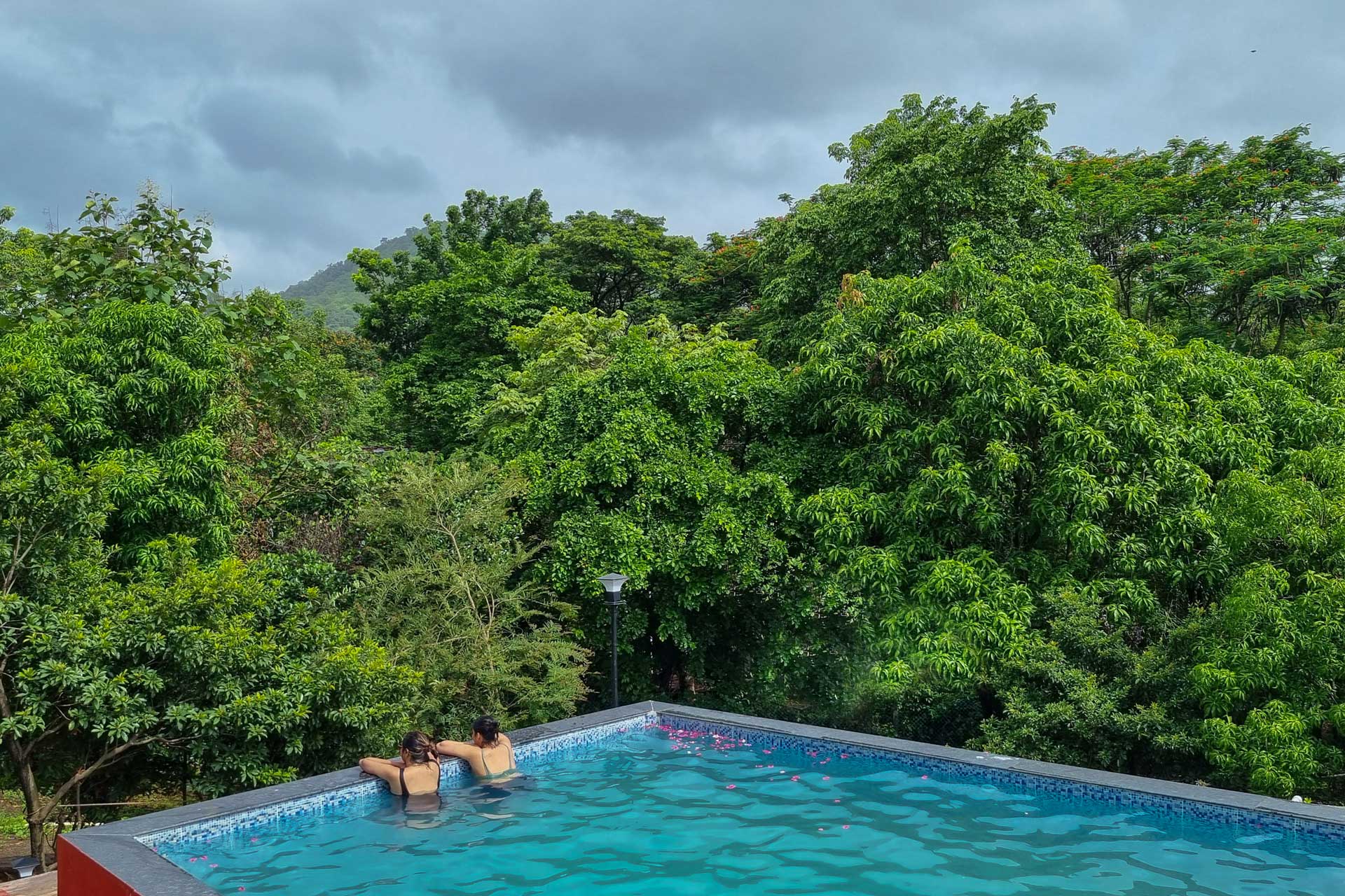 Aqua and Sage - Image 3