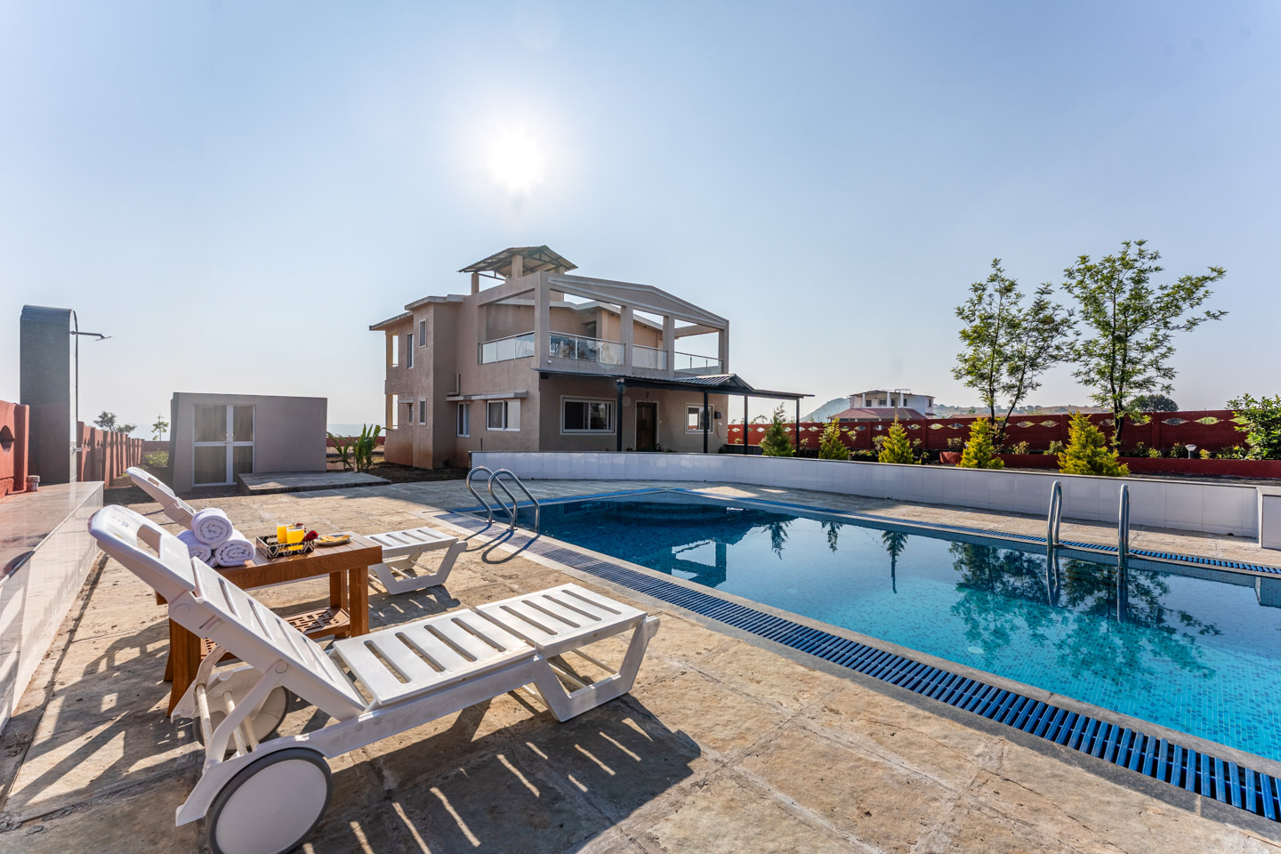 Golden Petal - Image 4