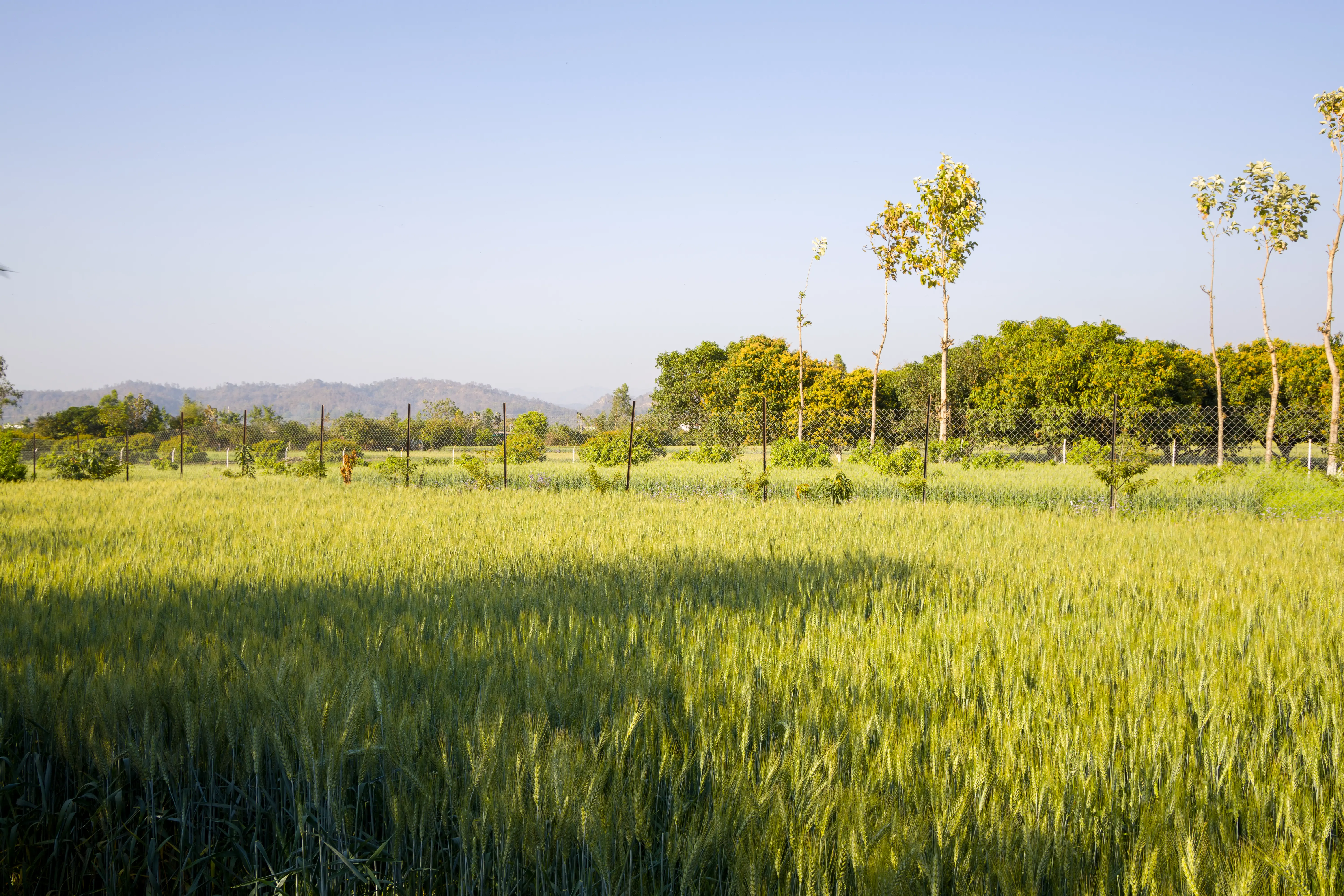 Farm Naturelle | Pet-friendly 3-BHK Farmhouse Near Jim Corbett With Garden, Terrace & Orchards 