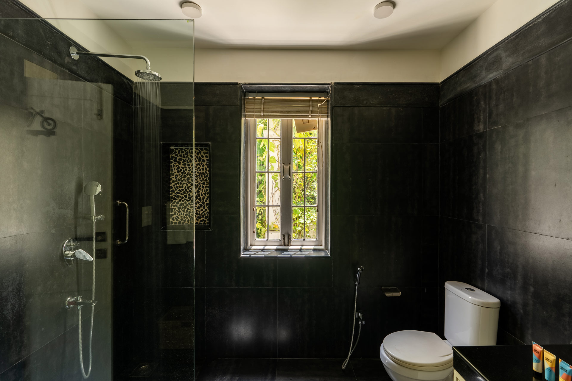 Palm @ A Portuguese Tale