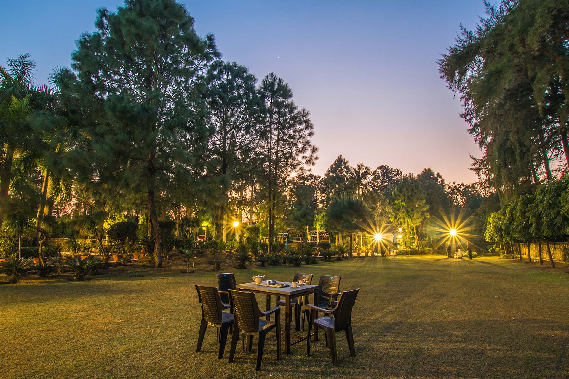 Solitude in the Woods - Sohna - Image 5