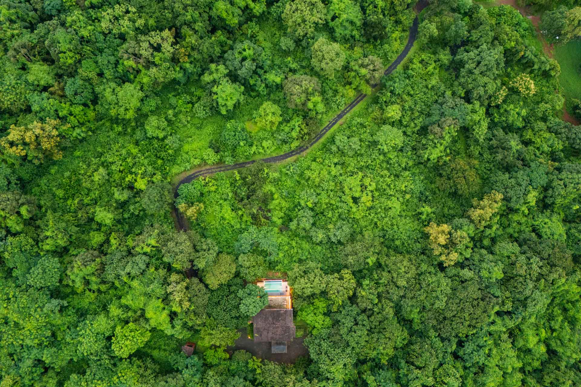 The Nest - Salvador Do Mundo - Image 3