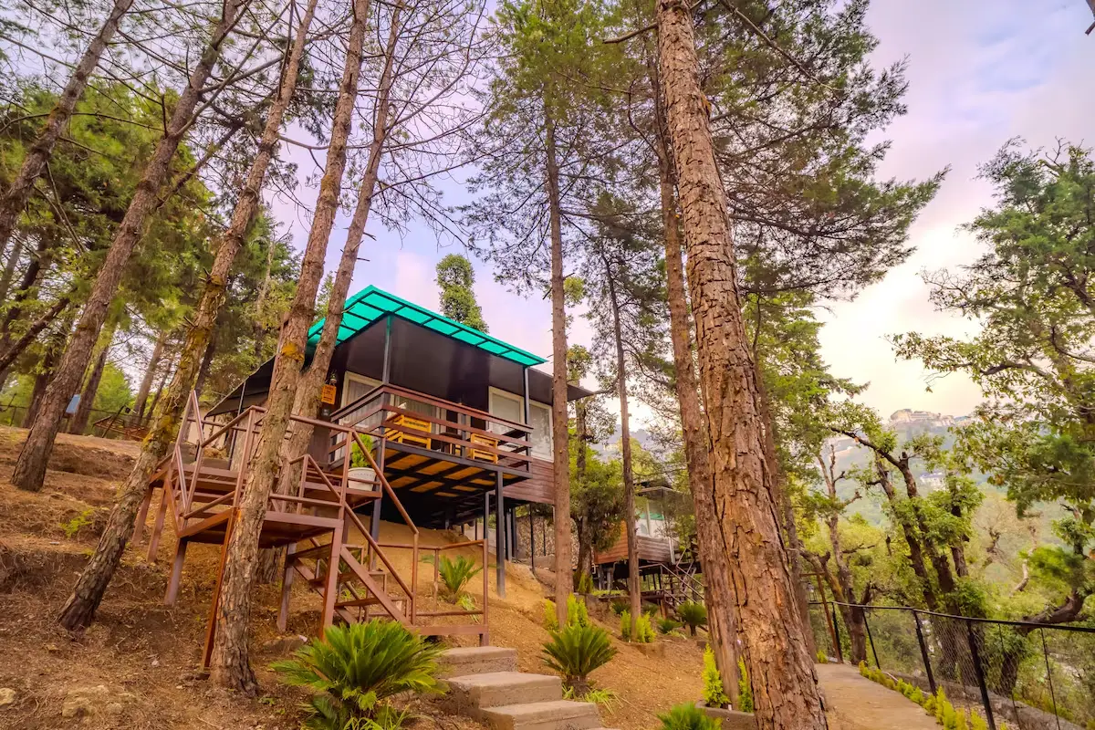 The Flamingo - Treehouse with ensuite Jacuzzi
