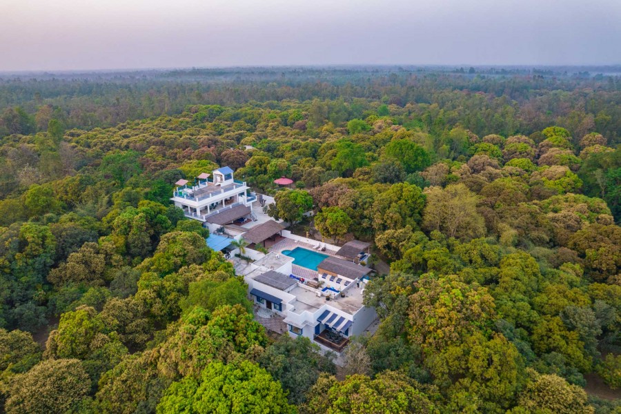 Mango Trails - Haridwar