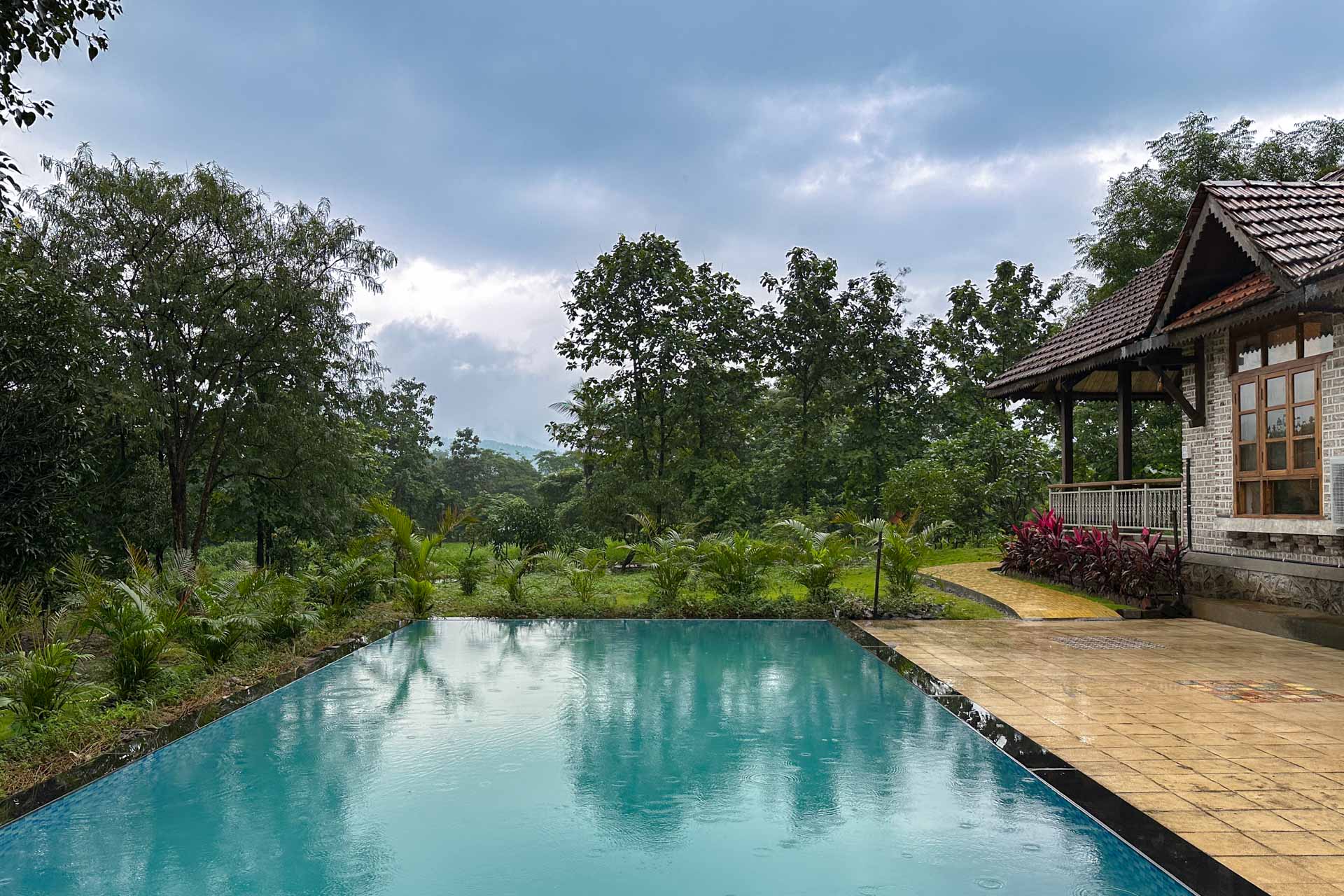 Orchard by the River