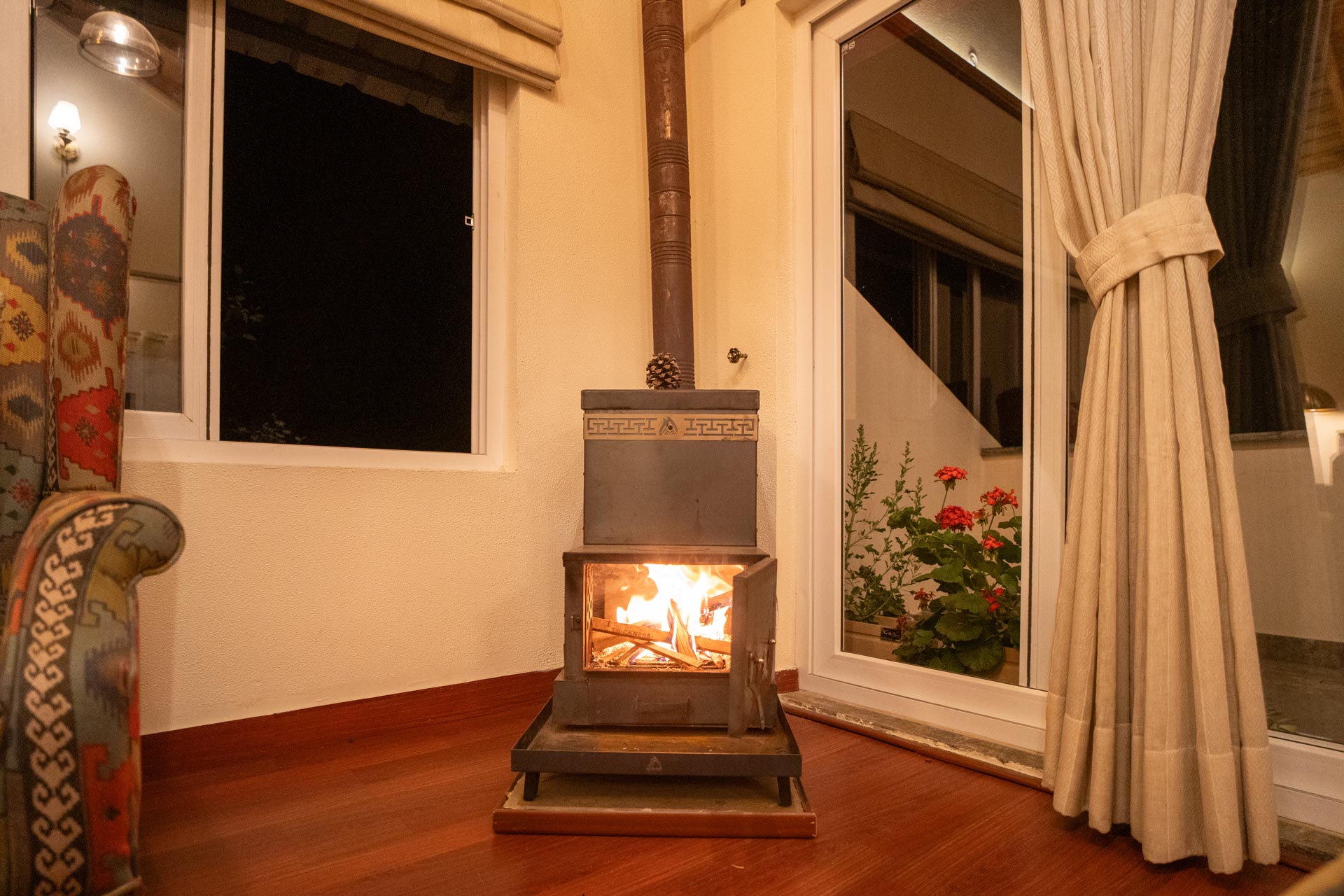 Little Frida - Image 5