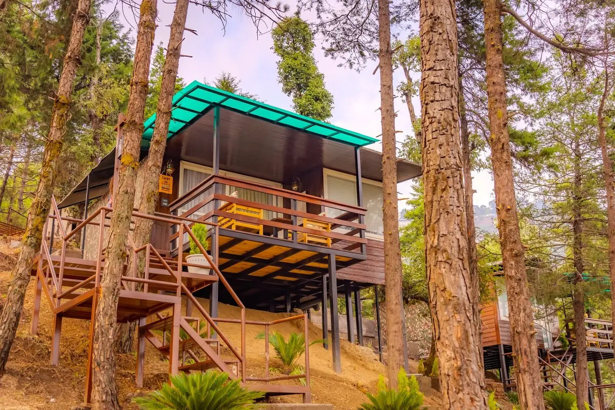 The Flamingo - Treehouse with ensuite Jacuzzi