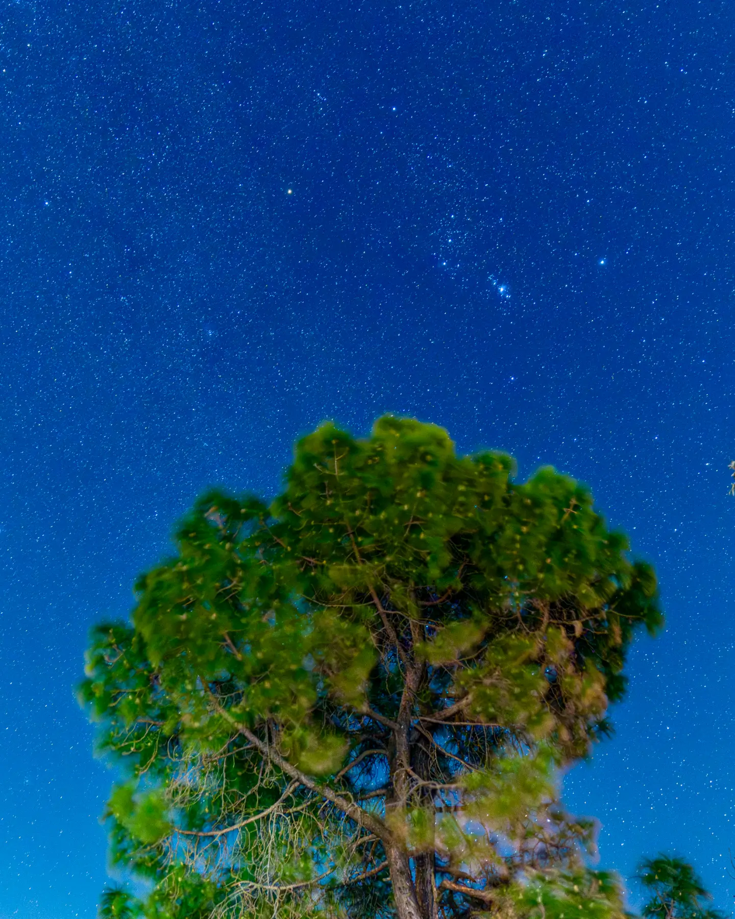 Kotli Paradise