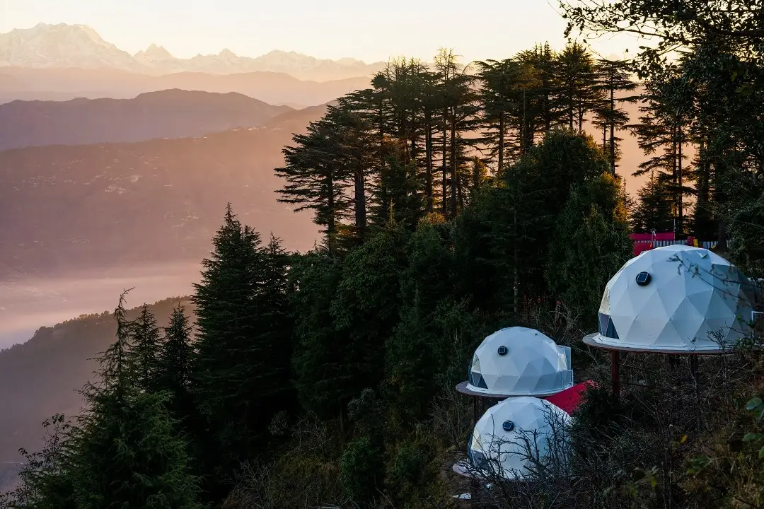 KeeKoo kanatal,Wealthinwhite