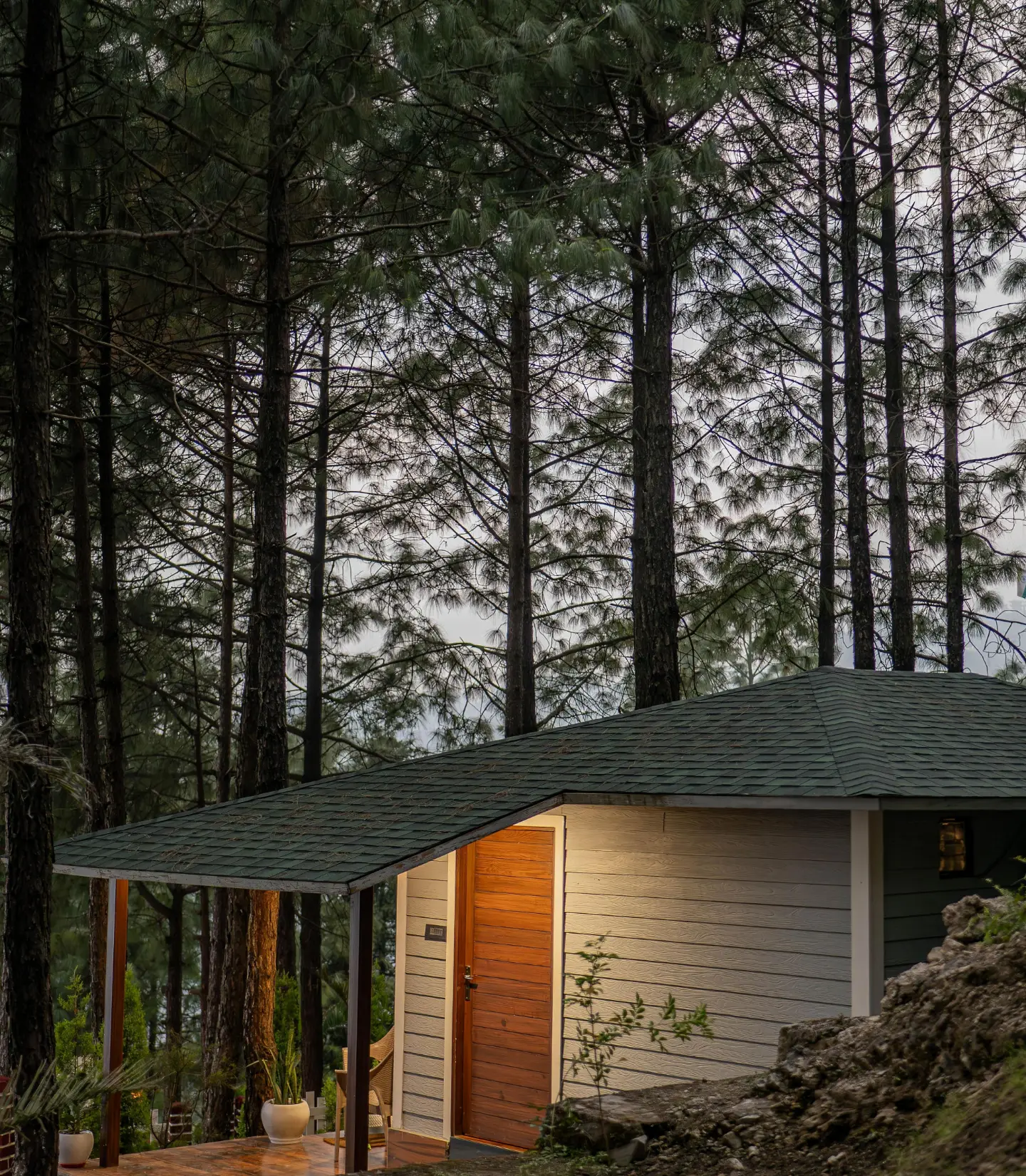 Srivasa - Tranquility Treehouse, Mussoorie