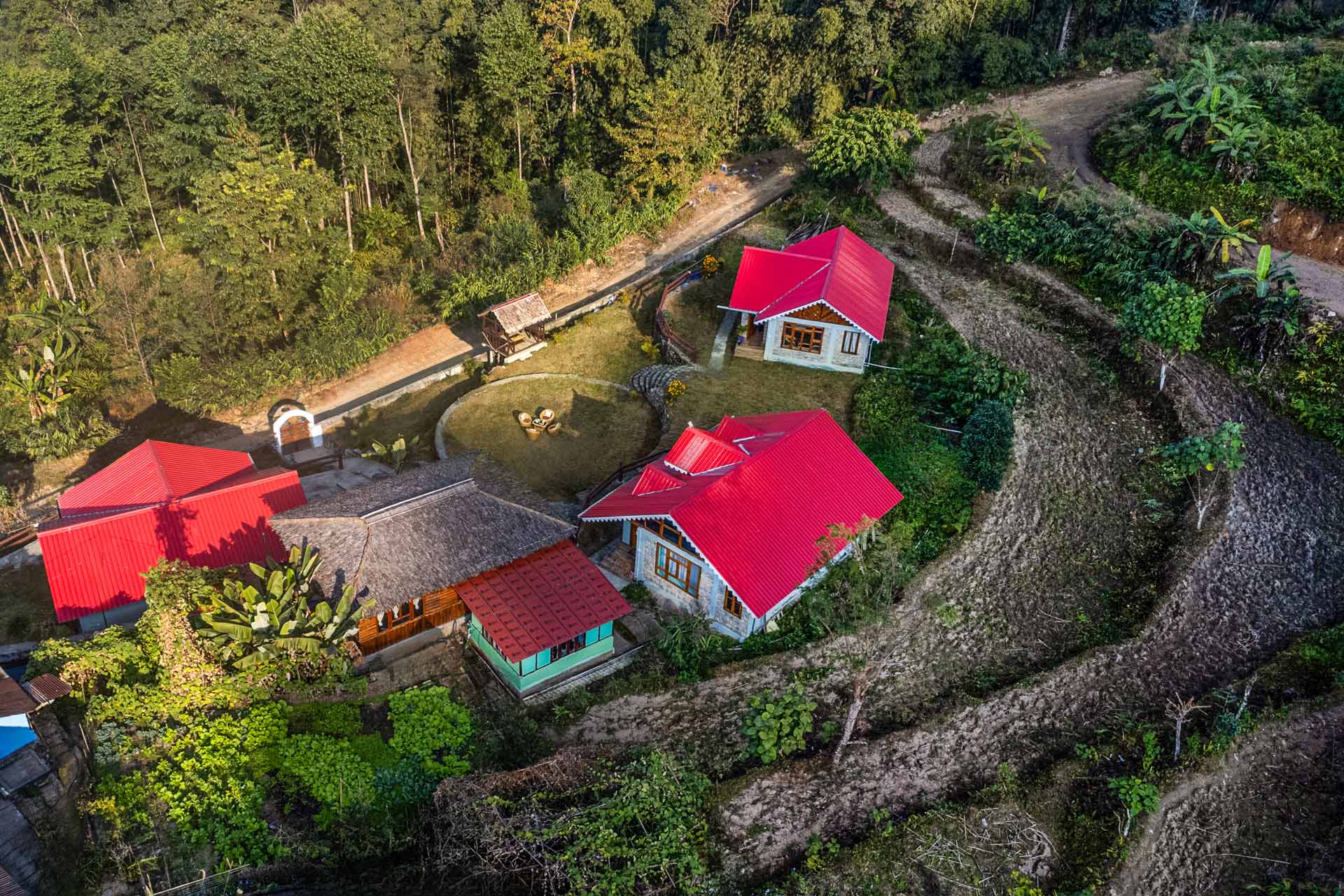 Daisy @ Nature’s Lap