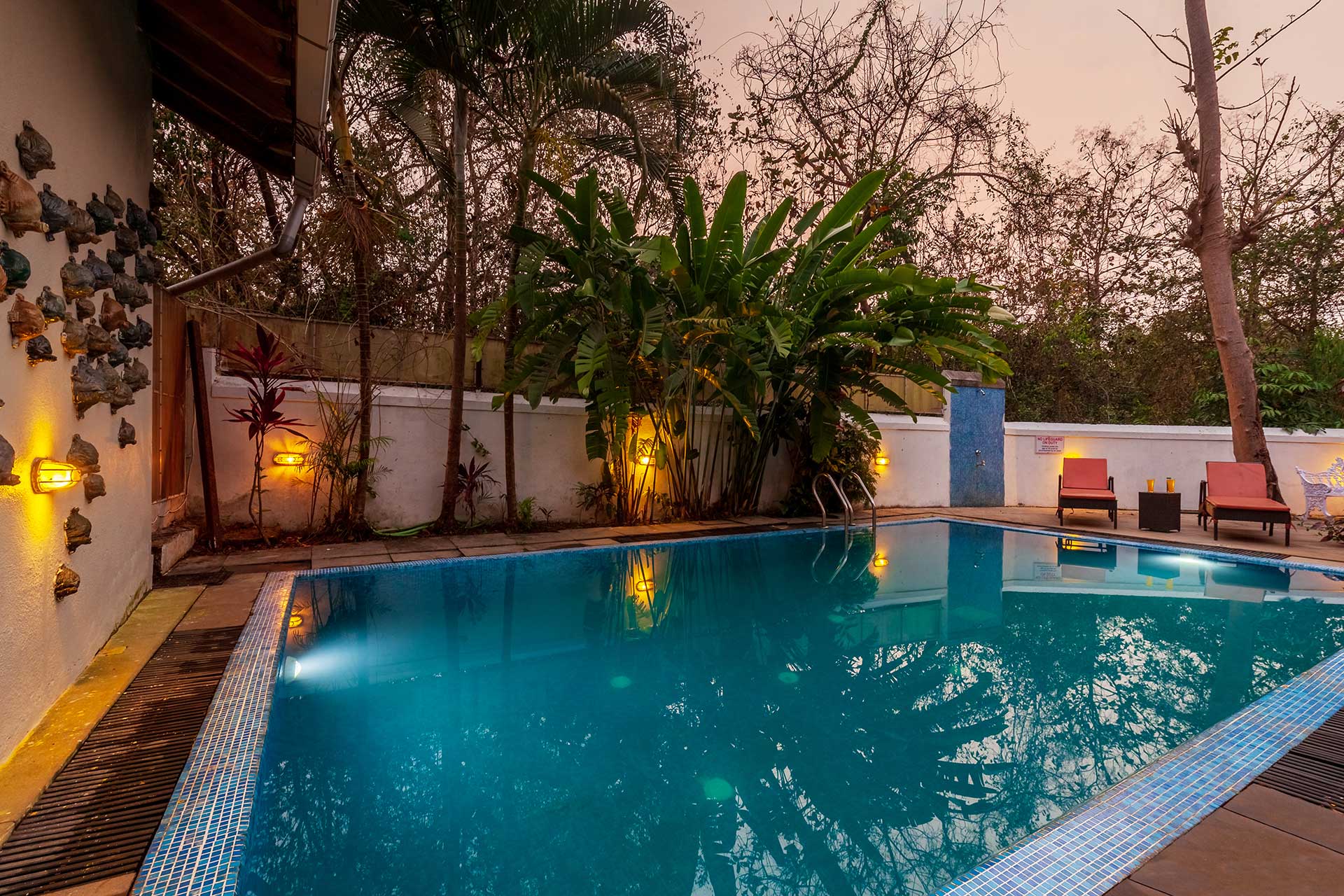 Terra Rosa - Chorao Island