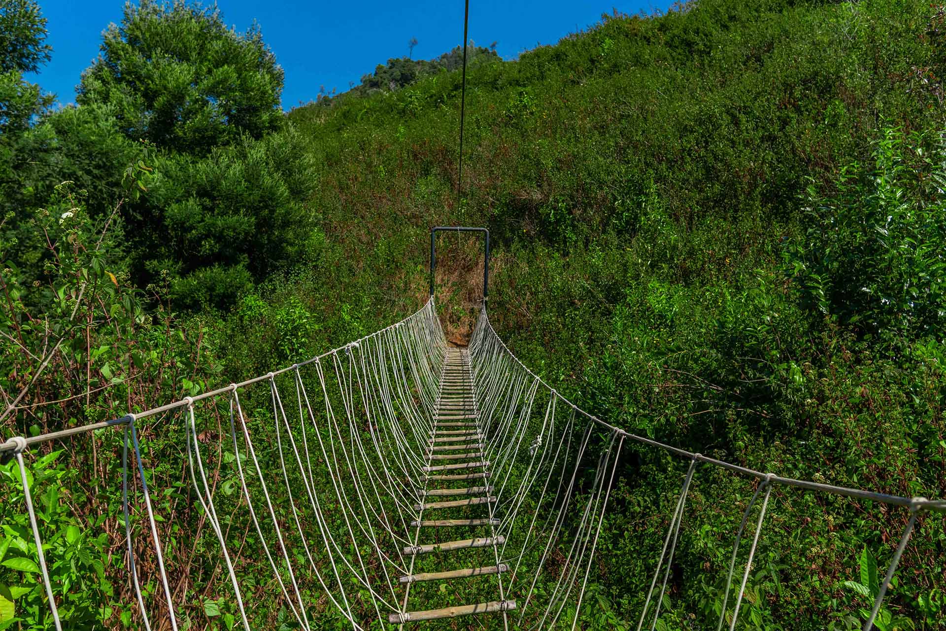 Long Walk Villa - Coonoor