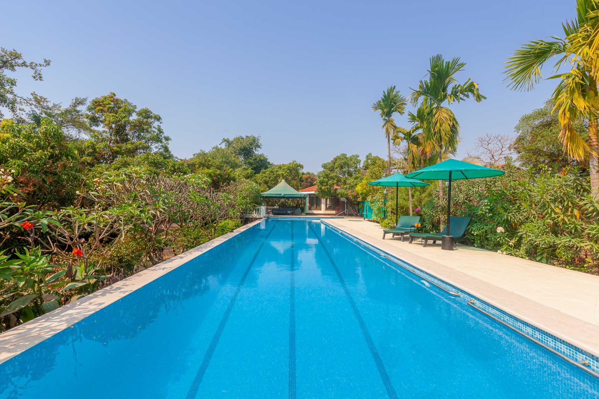 Casa Palmera - Image 2