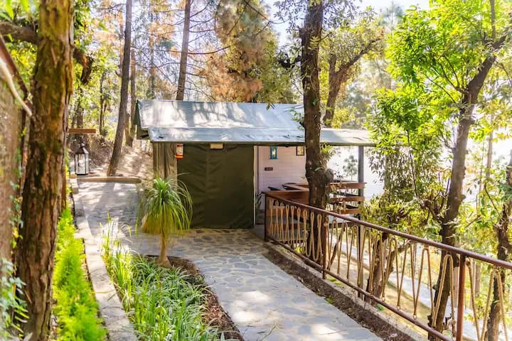 The Blue Jay - Luxury Treehouse