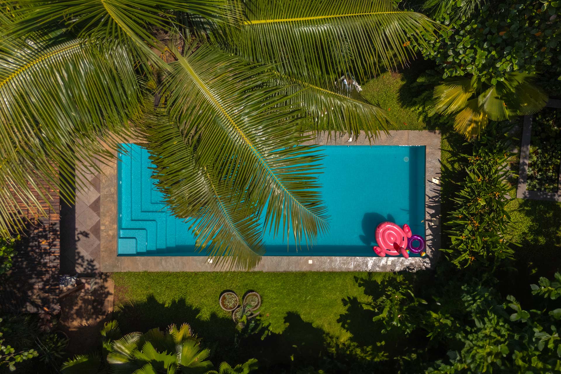 Coco @ A Portuguese Tale