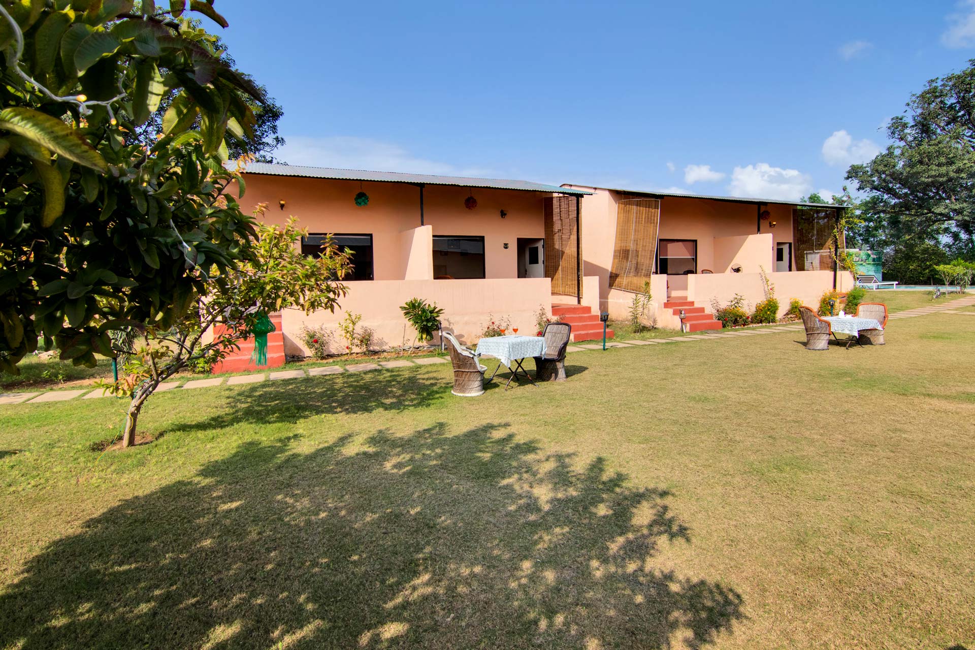 Wild @ Ranthambore Reverie