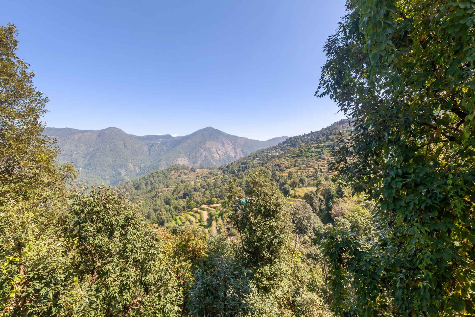 The Cypress @ The Verandah - Image 3