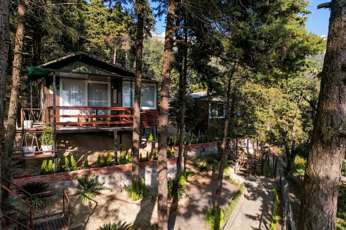 The Flamingo - Treehouse with ensuite Jacuzzi
