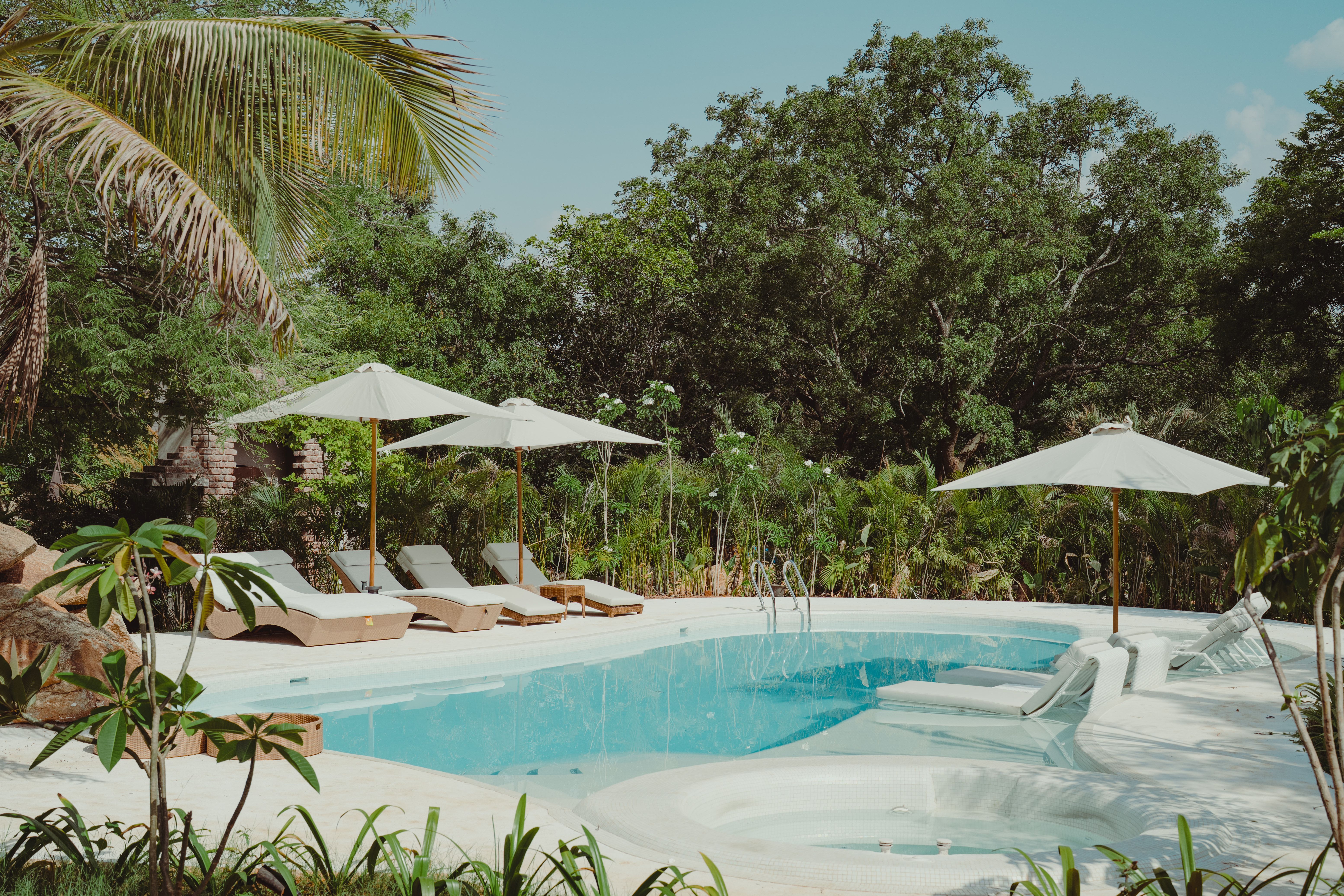 Bali Bay Langit | Glass Tent on 2-Acres with Shared Pool, Jacuzzi, Firepits, & Bar Lounge - Image 4