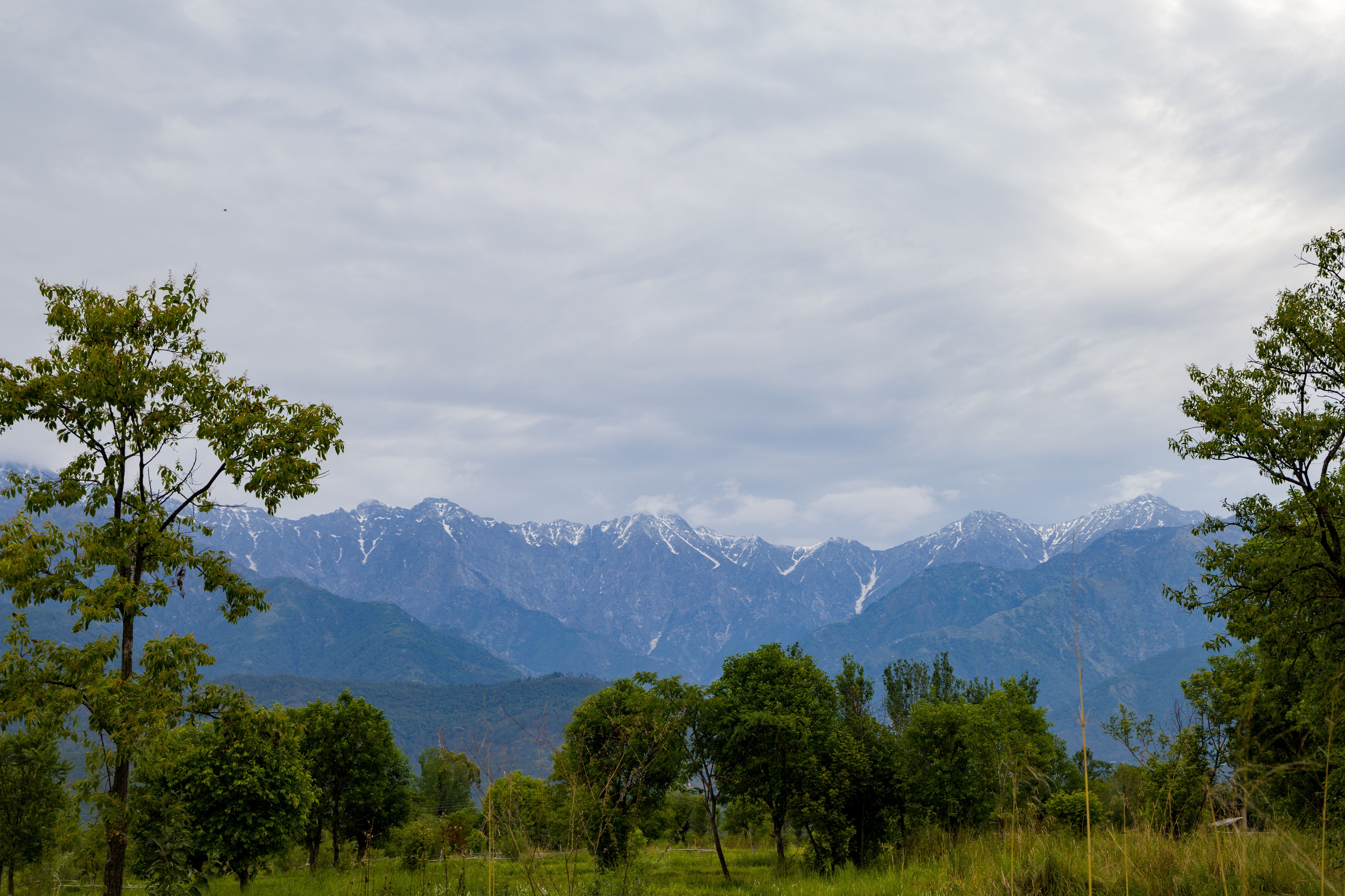 Esh Cottages Willow | Hillside 1-room Retreat With Lush Garden, Common Pool & Restaurant