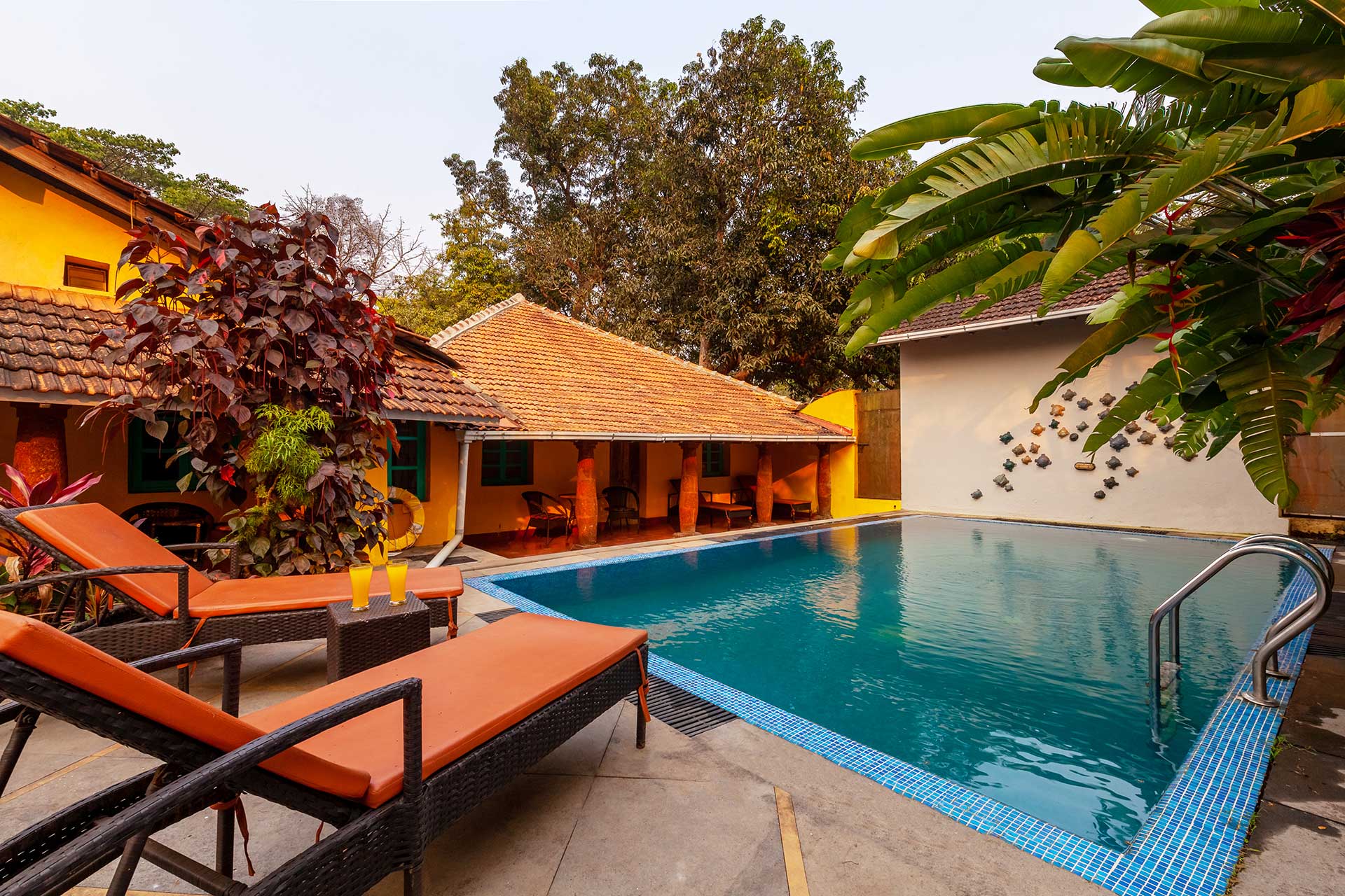 Terra Rosa - Chorao Island