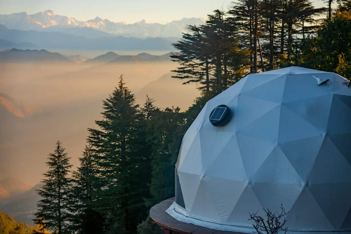 KeeKoo kanatal,Wealthinwhite