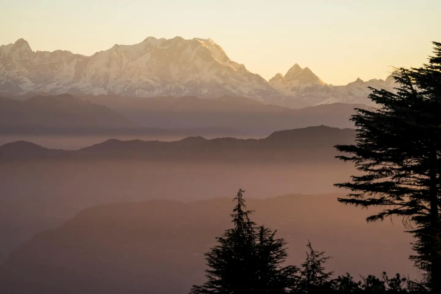 KeeKoo kanatal,Wealthinwhite