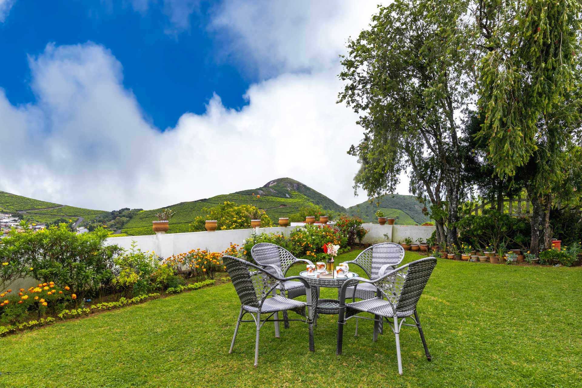 Greensckape - Image 5