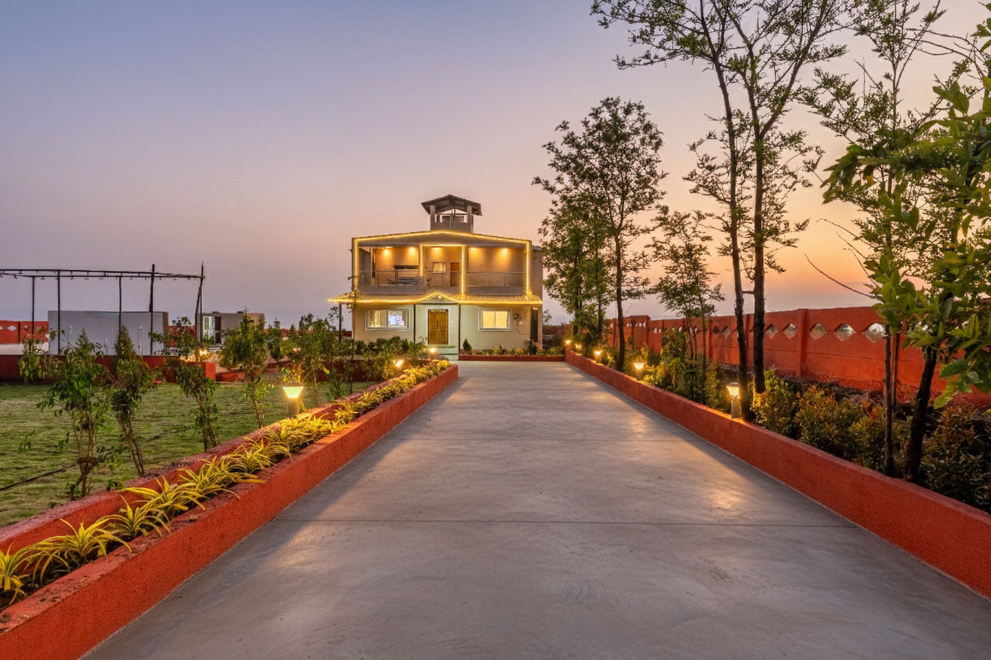 Golden Petal - Image 3