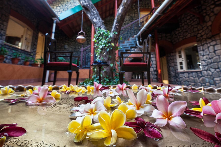 Retreat on Cloud 9 Homestay - Image 4