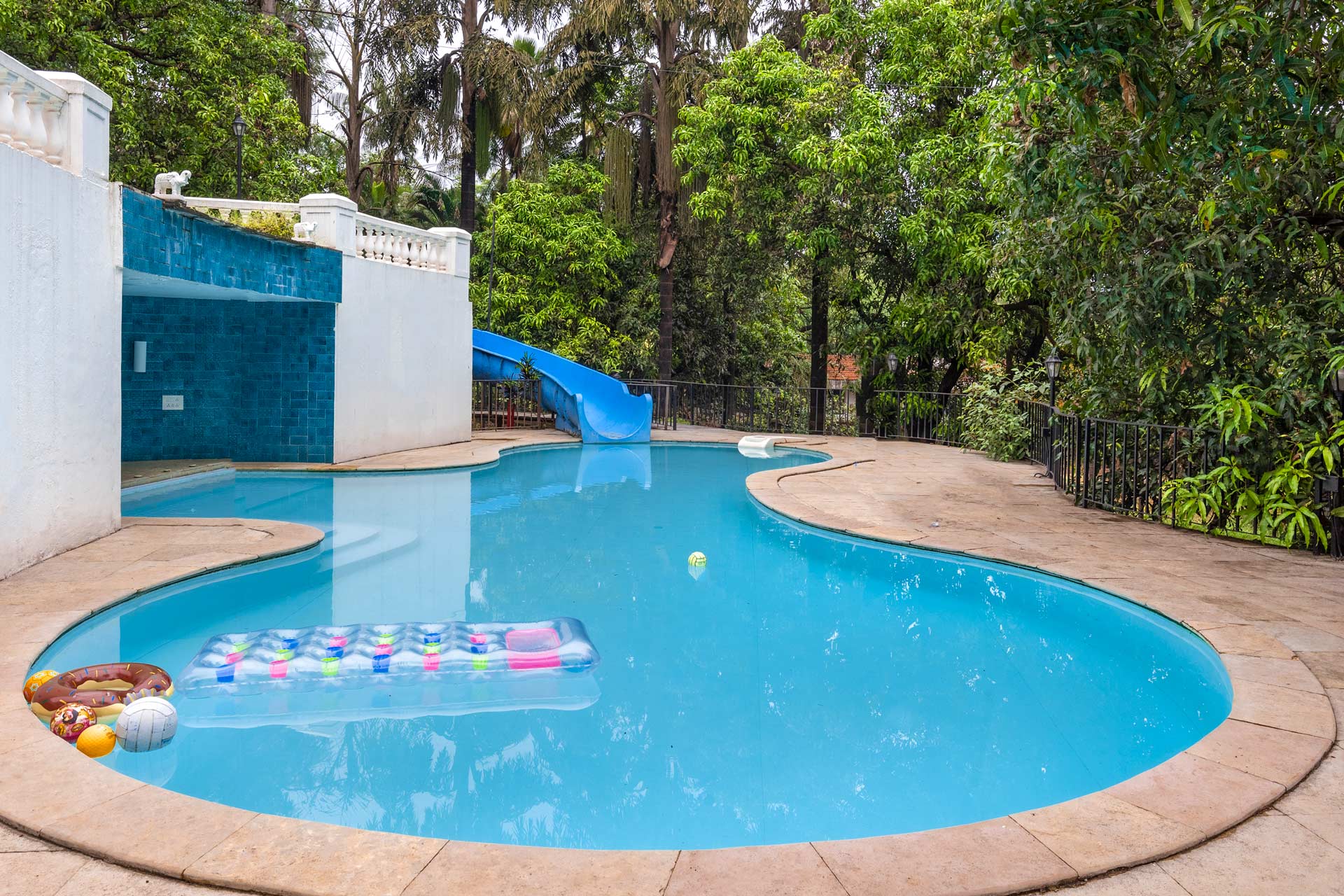 Ivory Crest - Image 2