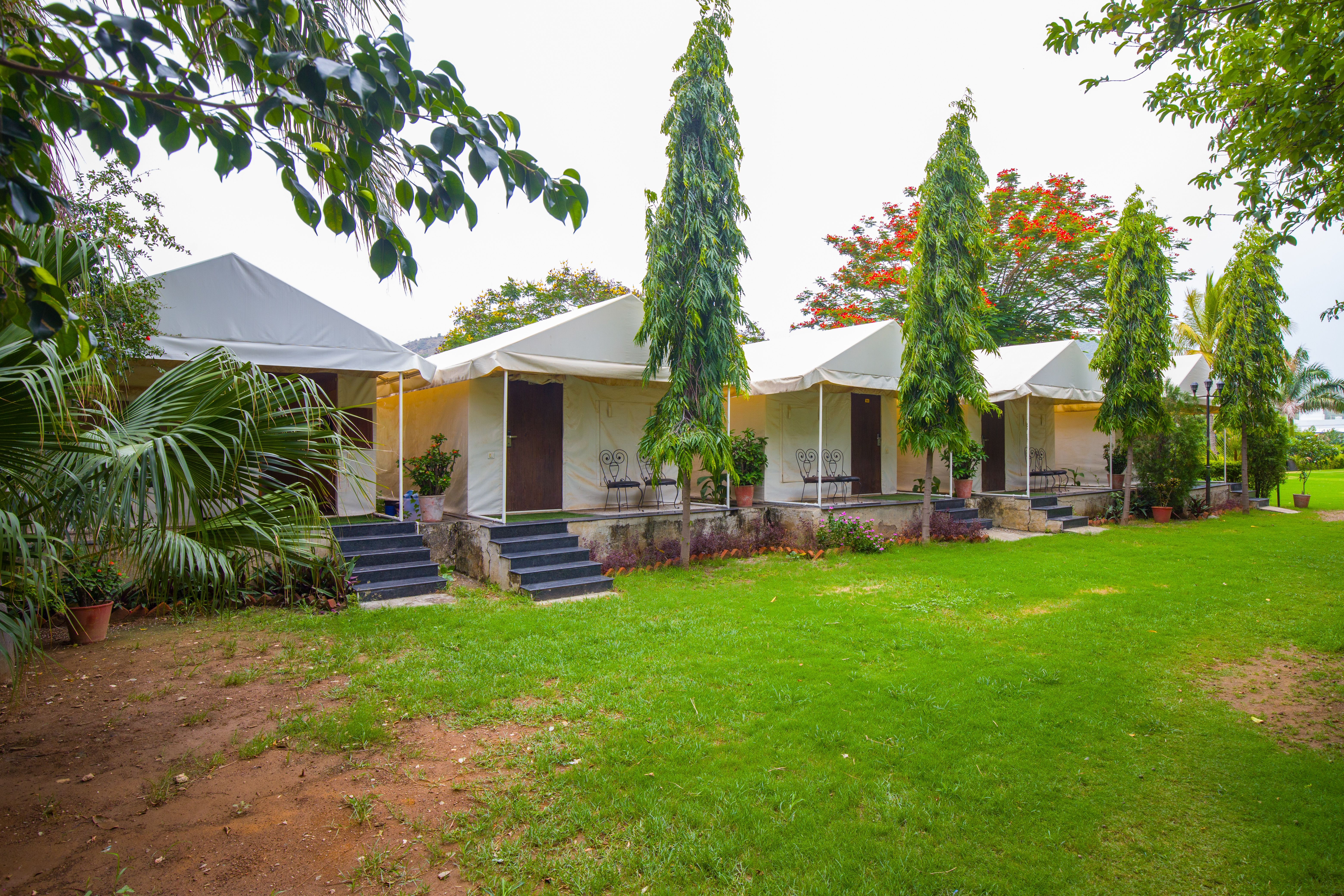 Jeevantara Luxury Tent | Tent With Common Pool, Multi-amphitheatre Lounge, Restro & Lush Garden