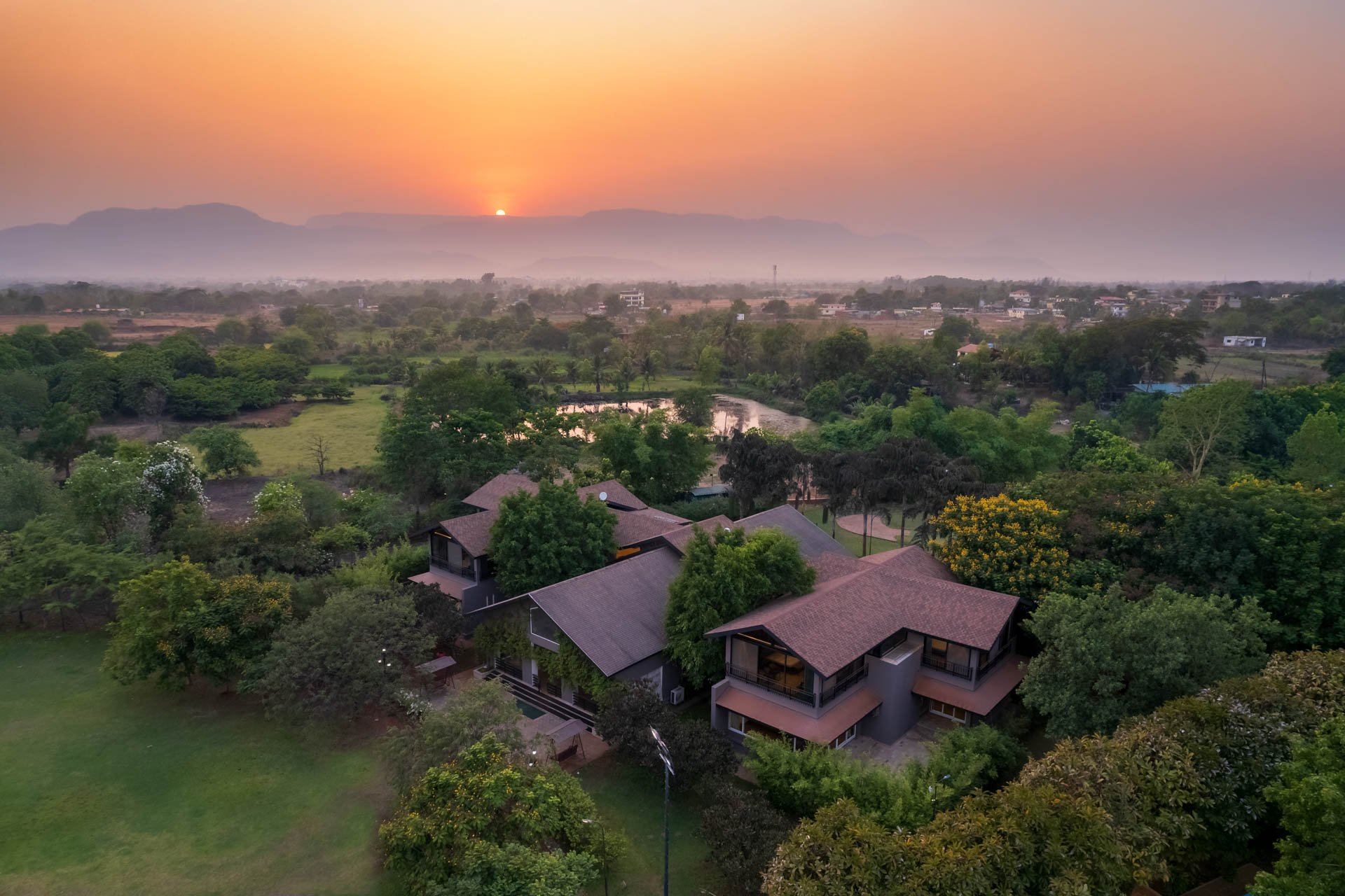 Cherry @ Nivaant Farms